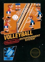 Volleyball [5 Screw] - Complete - NES  Fair Game Video Games