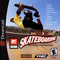 MTV Sports Skateboarding - Complete - Sega Dreamcast