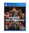 Dead Rising 4 Franks Big Package - Loose - Playstation 4