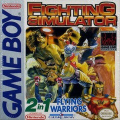2 In 1: Flying Warriors / Fighting Simulator - In-Box - GameBoy  Fair Game Video Games