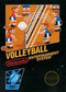 Volleyball [5 Screw] - In-Box - NES