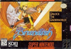 Brandish - In-Box - Super Nintendo