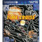 Time Cruise - In-Box - TurboGrafx-16