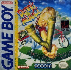 Dennis the Menace - Complete - GameBoy  Fair Game Video Games