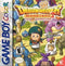 Dragon Warrior Monsters 2 Tara's Adventure - Loose - GameBoy Color  Fair Game Video Games
