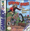 Extreme Sports with the Berenstain Bears - Loose - GameBoy Color  Fair Game Video Games