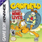 Garfield And His Nine Lives - Loose - GameBoy Advance  Fair Game Video Games