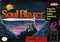 Soul Blazer - Complete - Super Nintendo  Fair Game Video Games