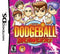 Super Dodgeball Brawlers - Complete - Nintendo DS  Fair Game Video Games