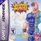 Ultimate Muscles Path Of The Superhero - In-Box - GameBoy Advance  Fair Game Video Games