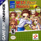 WTA Tour Tennis - Complete - GameBoy Advance  Fair Game Video Games