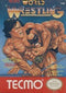 Tecmo World Wrestling - Loose - NES