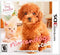 Nintendogs + Cats: Toy Poodle & New Friends - In-Box - Nintendo 3DS