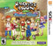 Harvest Moon: Skytree Village Limited Edition - Loose - Nintendo 3DS